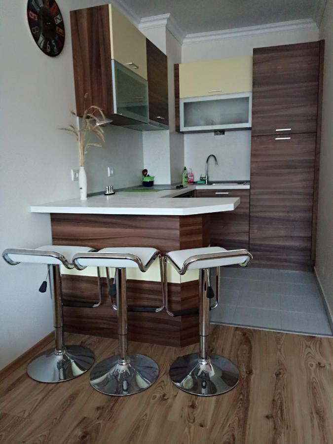 Denitsa Apartment Borovets Esterno foto